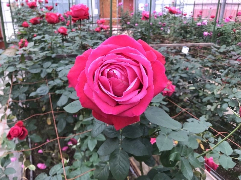 年末を迎えて・・*