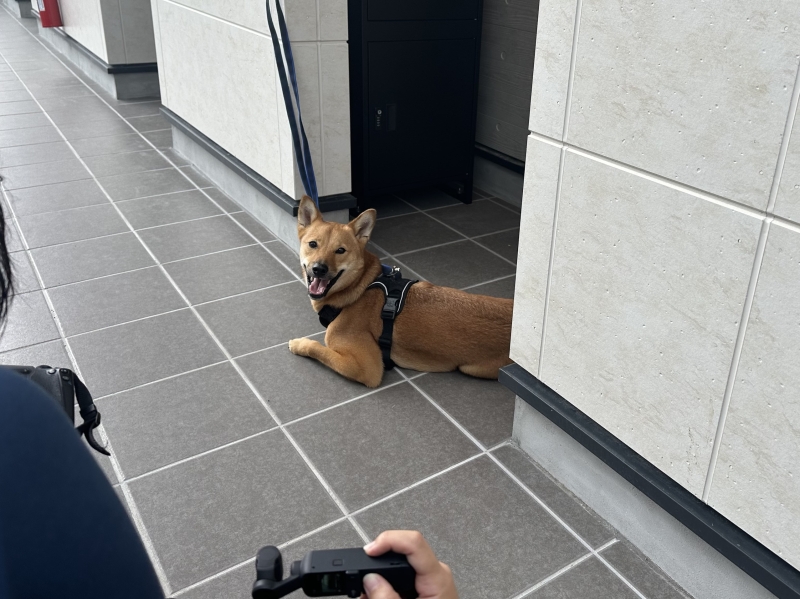 愛犬と住む夢の賃貸!プラネワンシリーズ第2弾が完成!