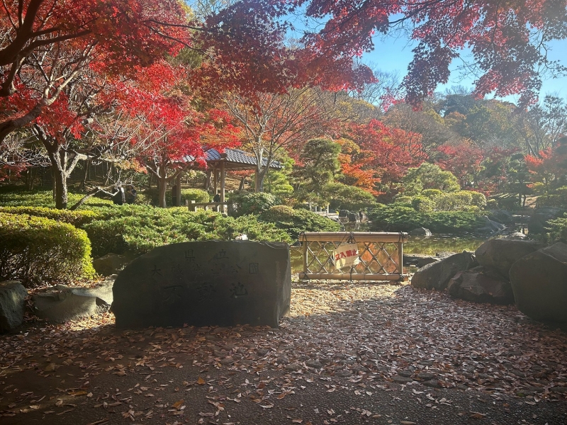 大磯町　城山公園（じょうやまこうえん）
