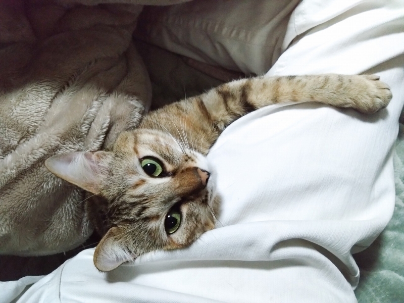 元気に育ってます!