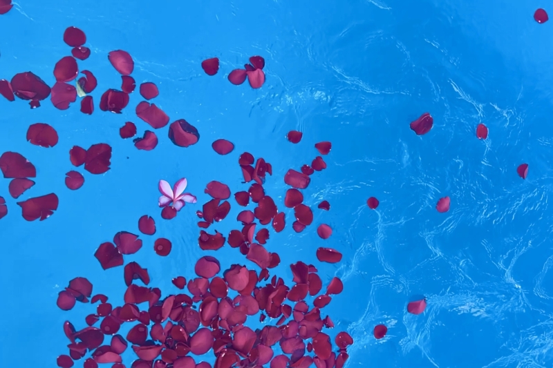 祖父が遺してくれた家族との時間