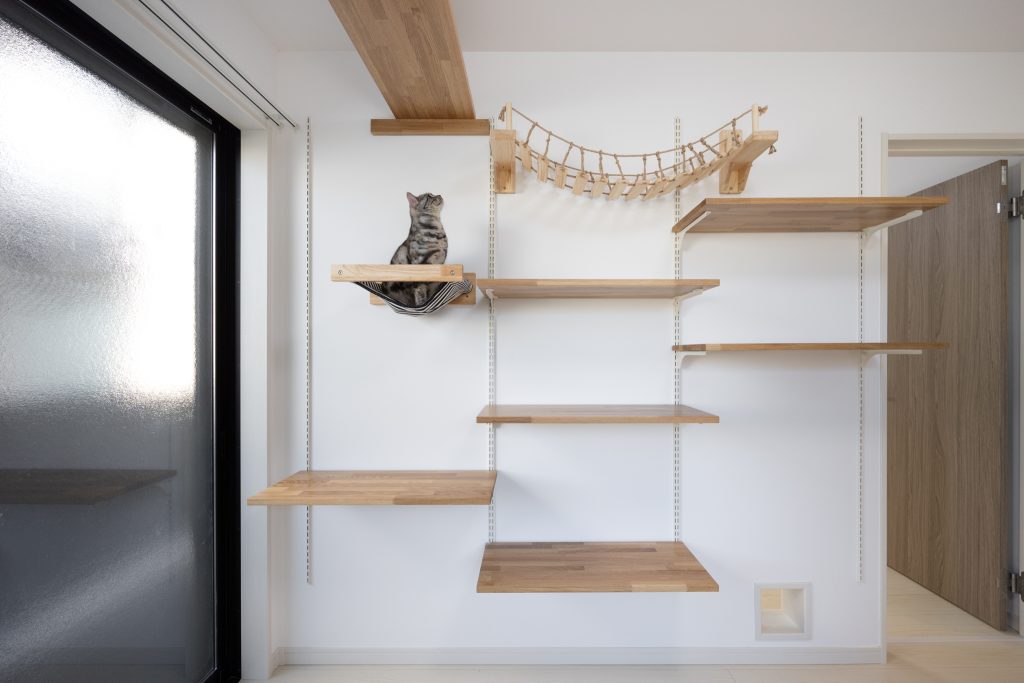 ねこと人の距離を、建築で整える