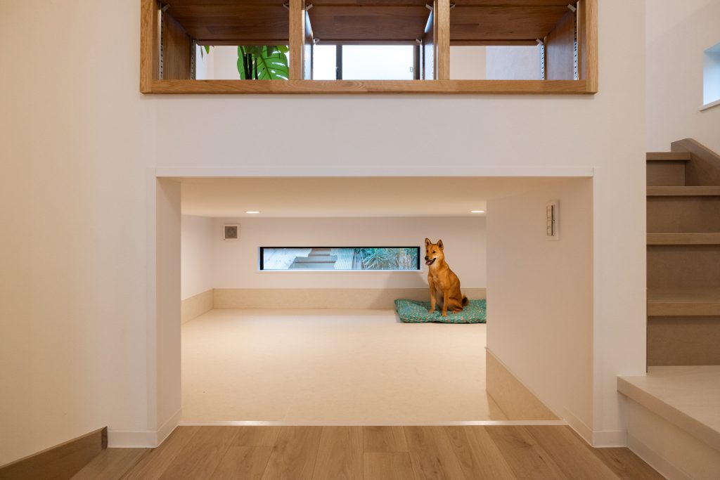 海辺の暮らしと犬との共生を軸に設計した一棟