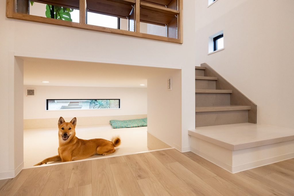 ペット共生型賃貸の施工事例・内装